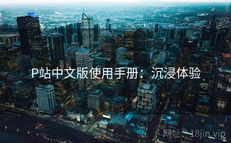P站中文版使用手册：沉浸体验