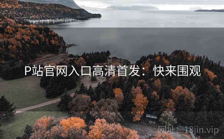 P站官网入口高清首发：快来围观