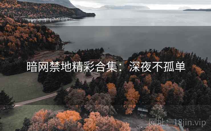 暗网禁地精彩合集：深夜不孤单