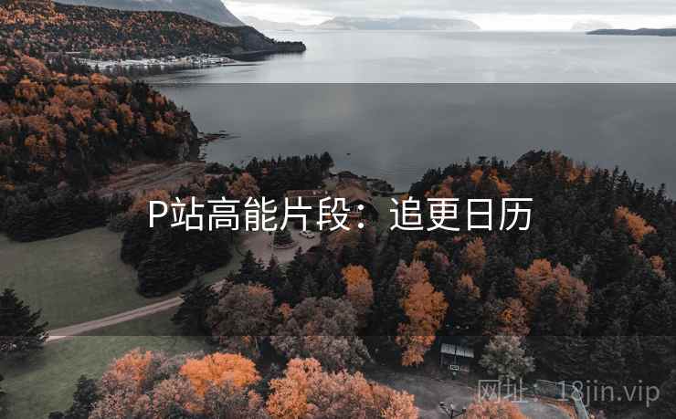 P站高能片段：追更日历
