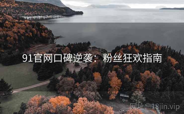 91官网口碑逆袭：粉丝狂欢指南